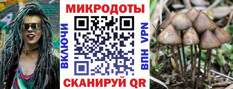 где можно купить   Уварово  Псилоцибиновые грибы GOLDEN TEACHER 